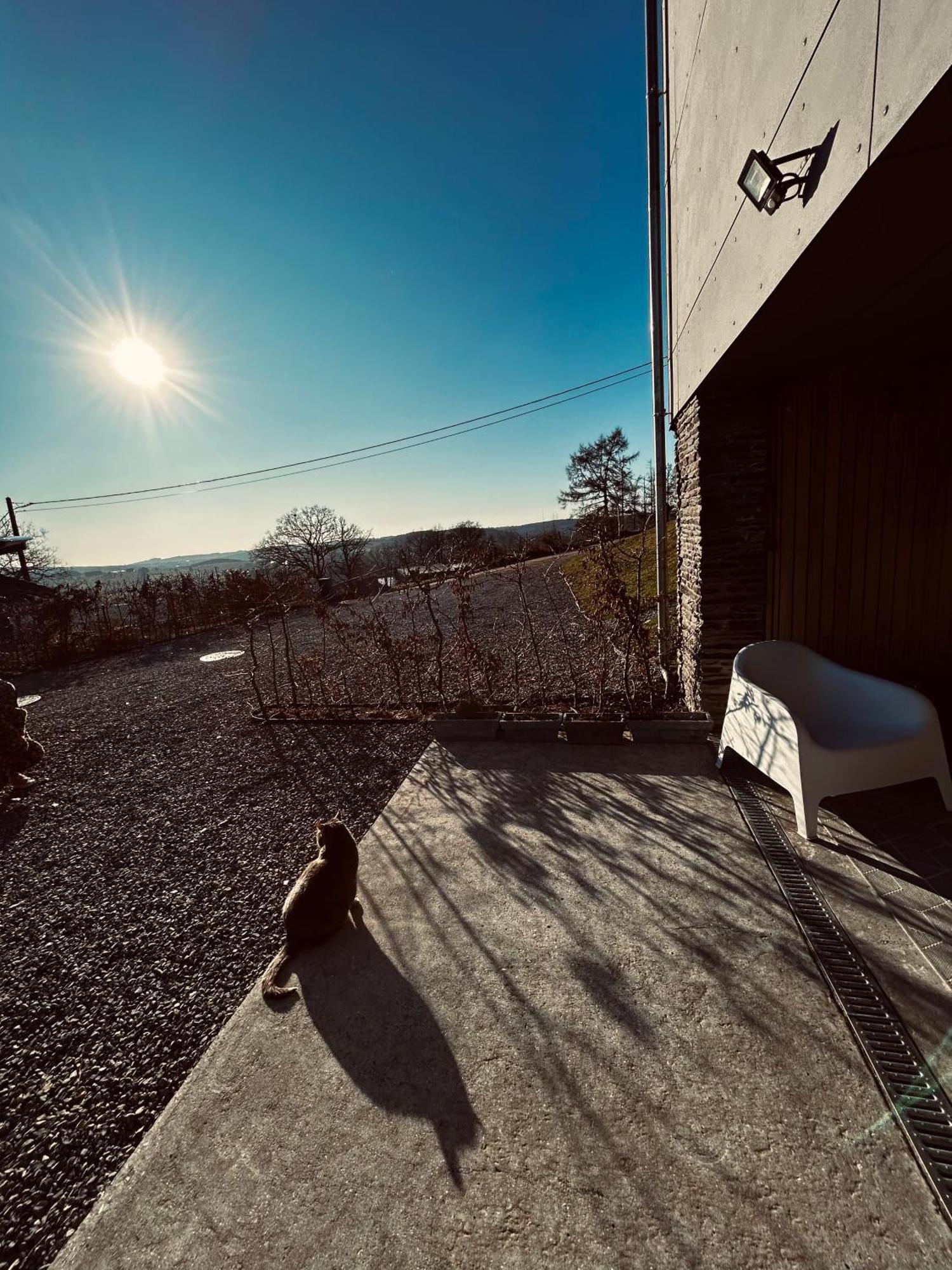 La Planque Du Raton Laveur Aparthotel Lierneux ภายนอก รูปภาพ